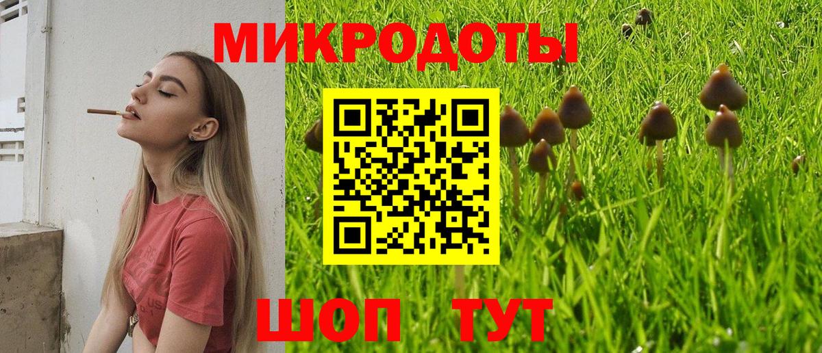 Галлюциногенные грибы MAGIC MUSHROOMS  Вход с VPN  дарнет шоп  Белая Калитва  Псилоцибиновые грибы Psilocybe 